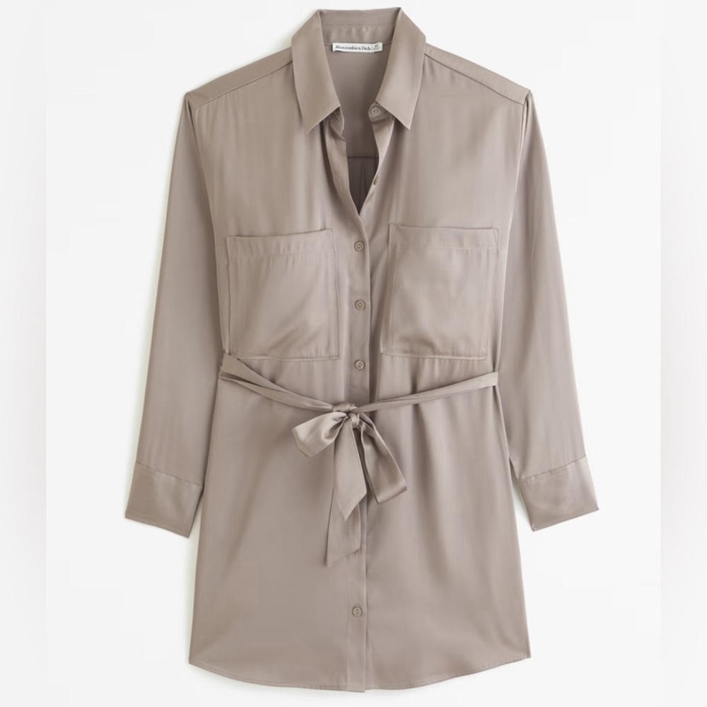 Abercrombie & Fitch Taupe Long Sleeve Dress